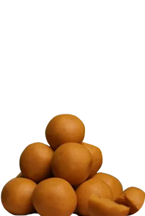 Padwa Spl